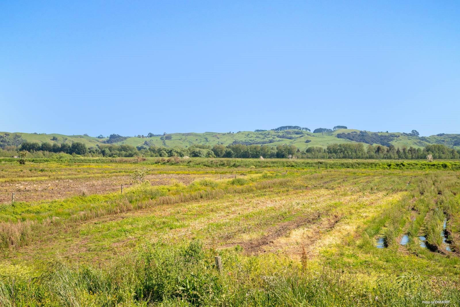 81 acres! Fallen contract- overseas owner want... — slide 16