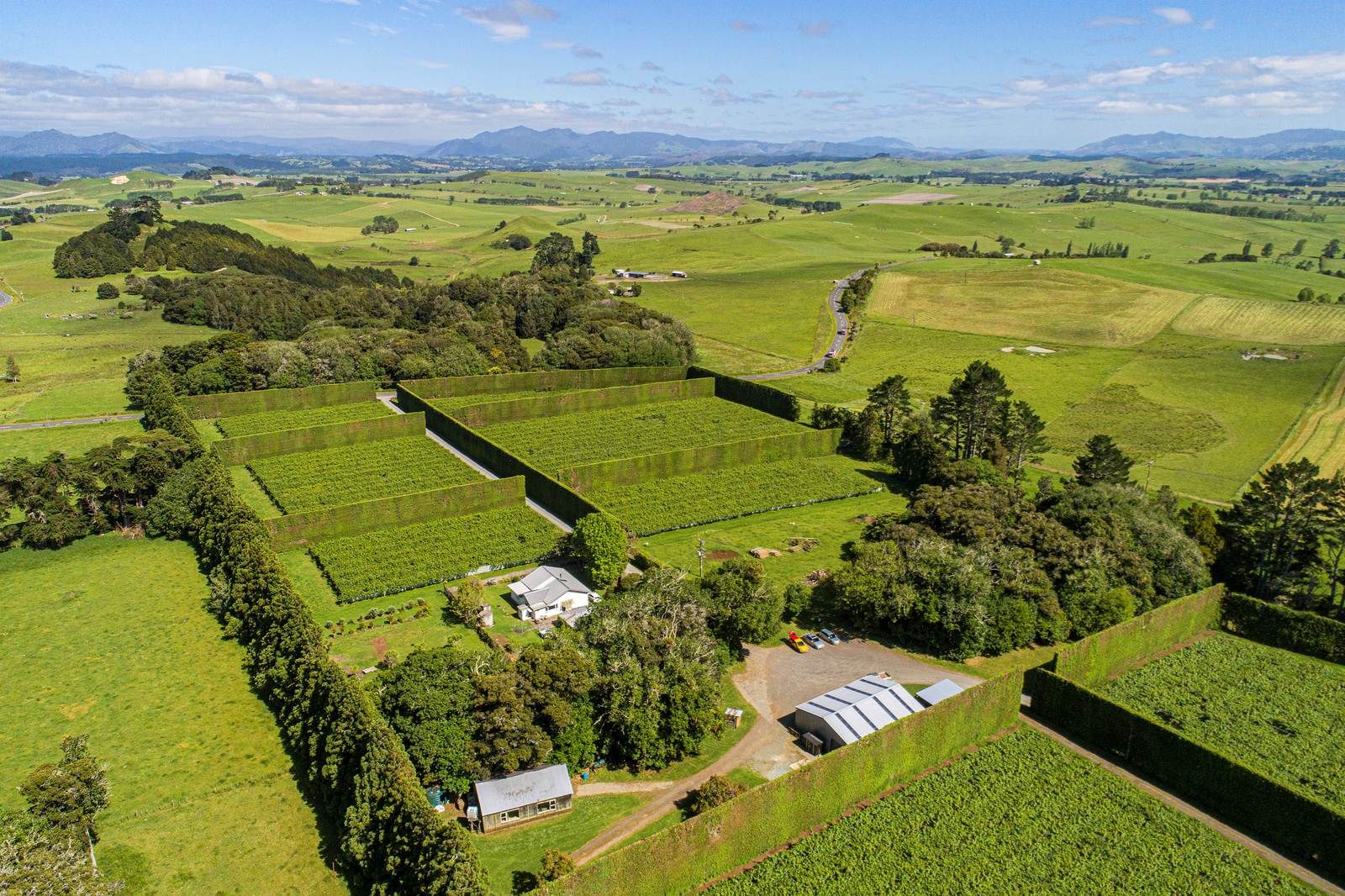 TANEKAHA ORCHARD - LARGE SCALE GOLD AND GREEN ... — slide 33