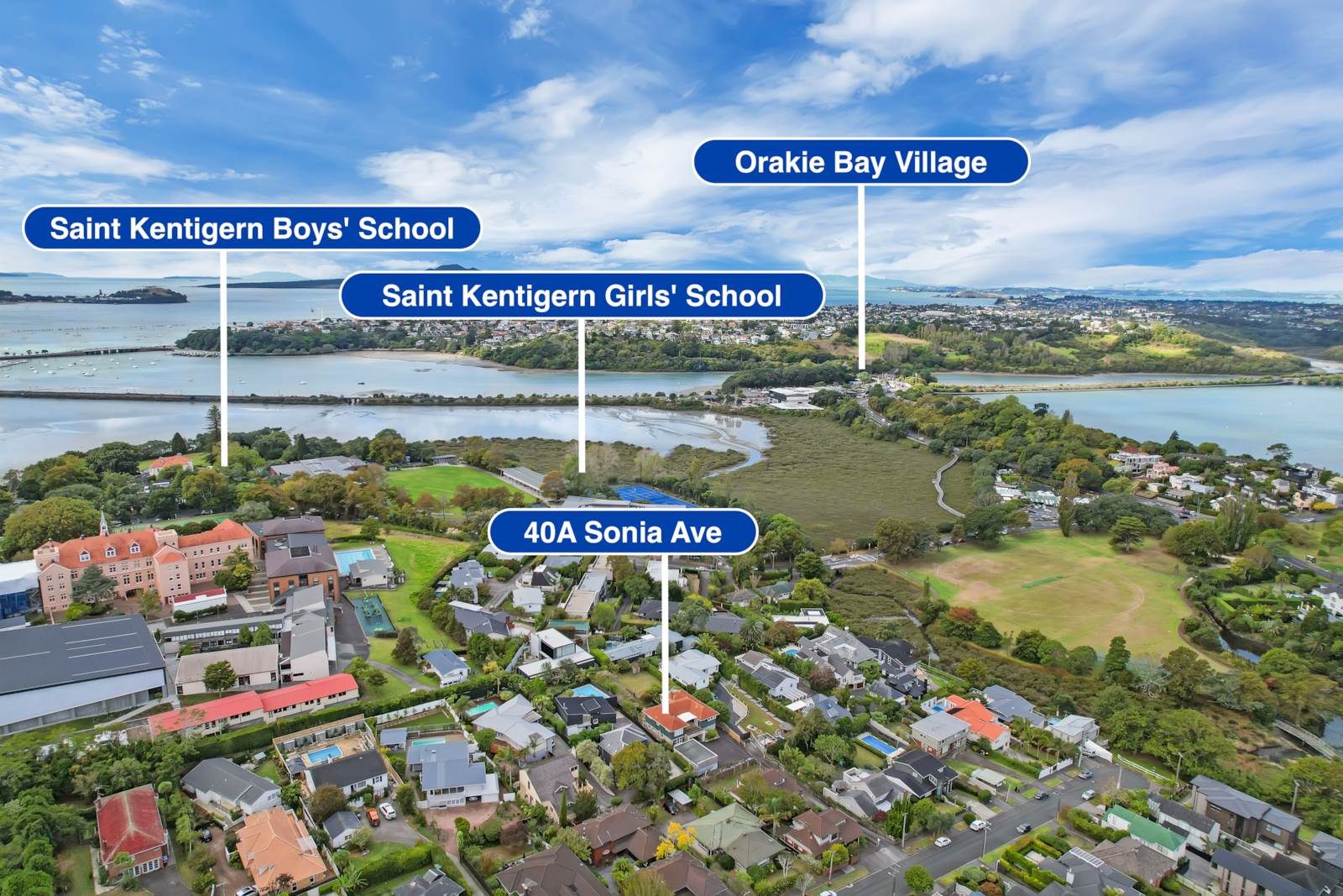 Blue-Chip Remuera, Renovate or Nest — slide 26