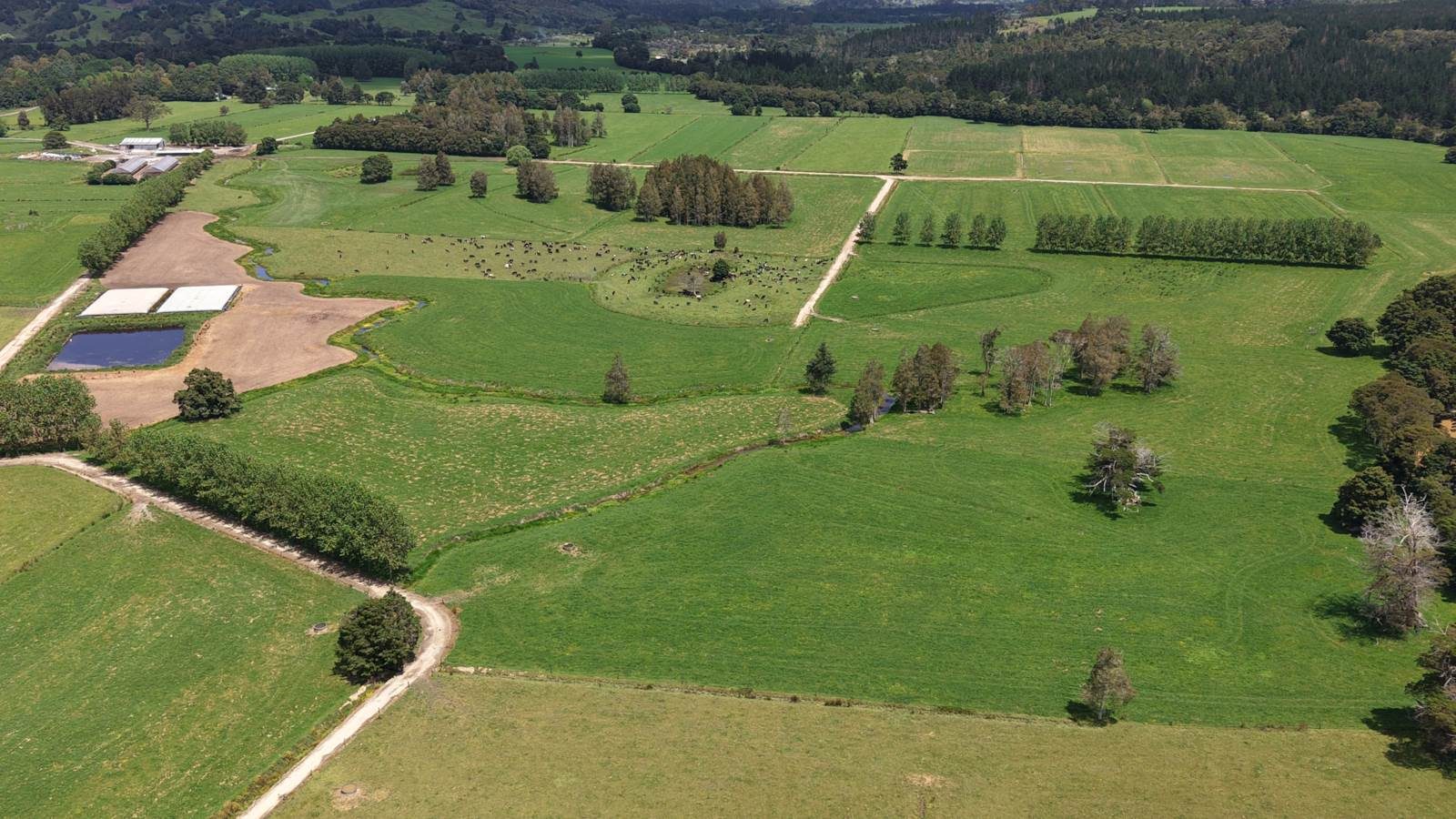 143ha Turnkey Dairy Farm Priced to Sell — slide 1