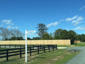 97 Vineyard Road, Te Kauwhata, Te Kauwhata