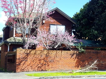1/4 Alpers Avenue, Epsom, Auckland