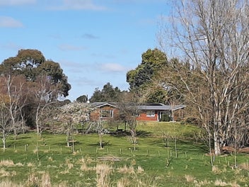 270 Downs Road, Hororata, Darfield
