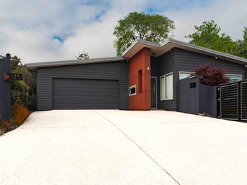 15 Sretlaw Place, Brockville, Dunedin