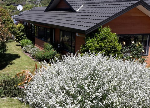 6 Bowman Place, Whitby, Porirua
