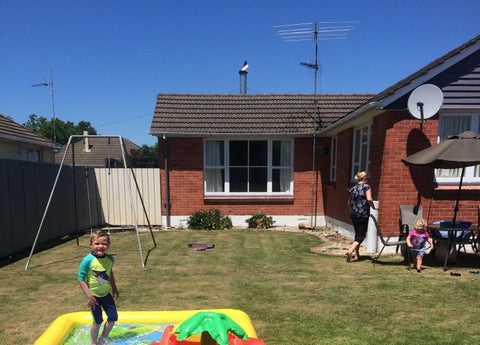 11 Davis Crescent, Netherby, Ashburton