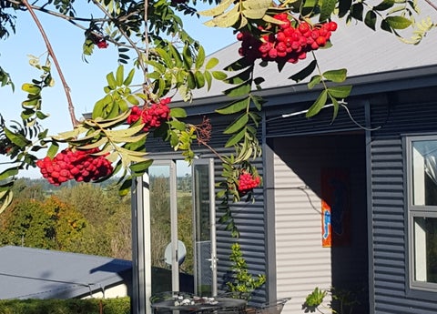 13 HEWLINGS ST, Geraldine, Geraldine