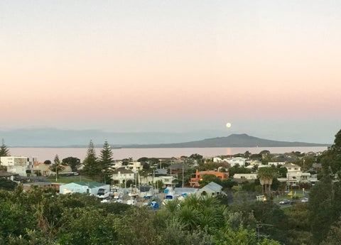 19 Prospect Terrace, Milford, Auckland
