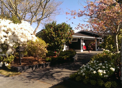 29 Ngamotu Road, Taupo