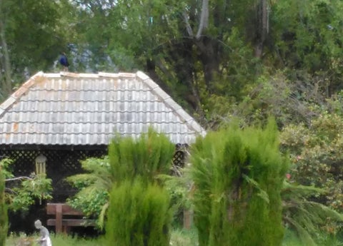 223 Island Road, Kaiapoi, Kaiapoi