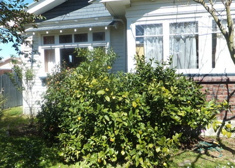 100 Edward Avenue, Edgeware, Christchurch