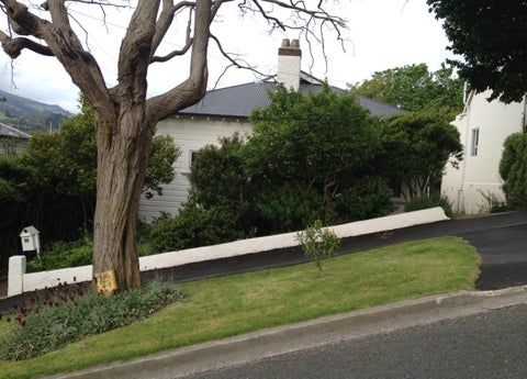 35 James Street, North East Valley, Dunedin
