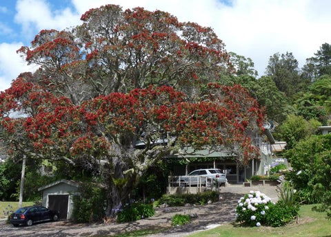 123 Main Sh25 Road, TAIRUA, Tairua