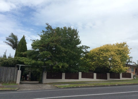 202 Clovelly Road, Bucklands Beach, Auckland
