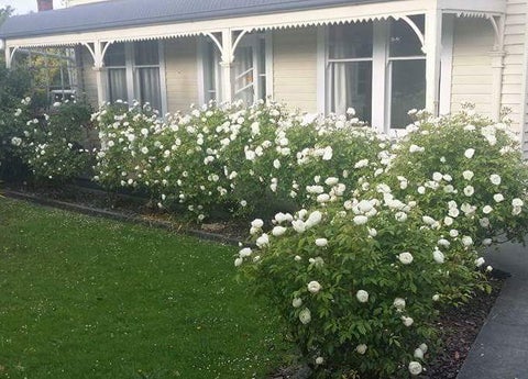 21 Woodlands Road, Parkside, Timaru