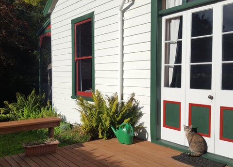 54 Montague Street, North East Valley, Dunedin
