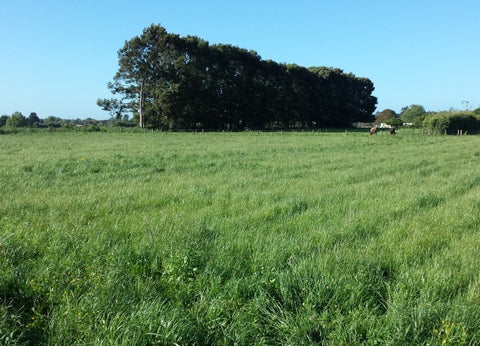 104 Webster Road, Matangi, MATANGI