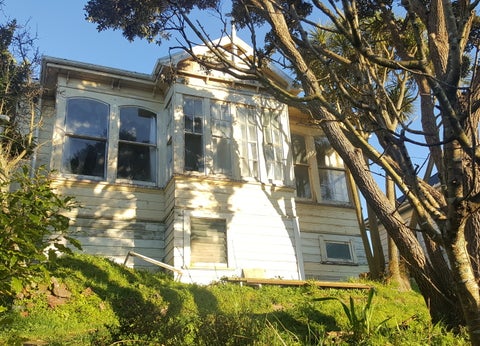 308 Adelaide Road, Newtown, Wellington