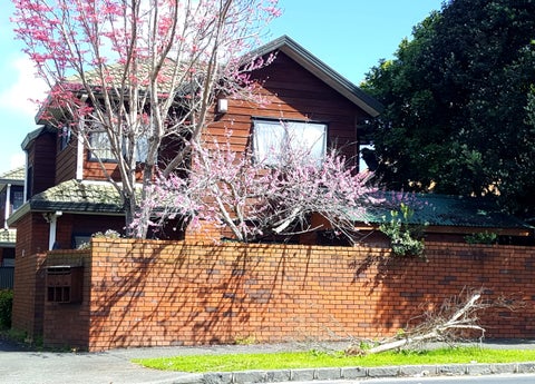 1/4 Alpers Avenue, Epsom, Auckland