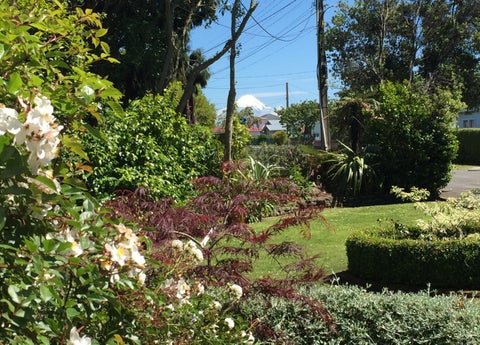 2 Douglas Street, Hawera