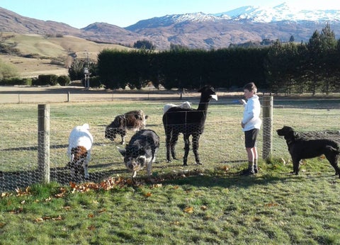 29 Fitzpatrick Road, Dalefield, Queenstown