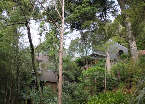 15 Hunt Terrace, Wakefield