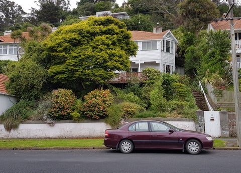 32 Norfolk Street, Saint Clair, Dunedin