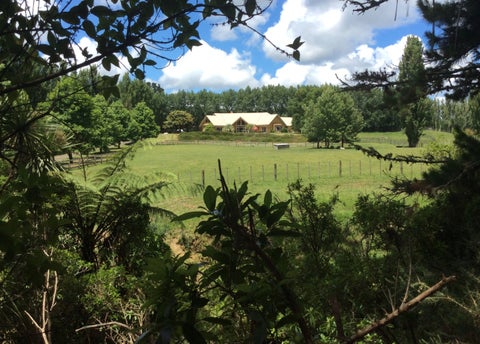 84 Croft Lane, Albany