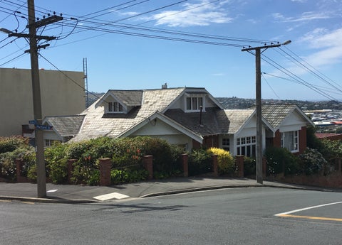 133 Stafford Street, Dunedin Central, Dunedin