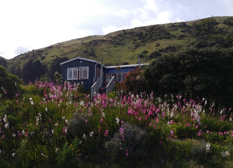 59 Ames Street, Paekakariki