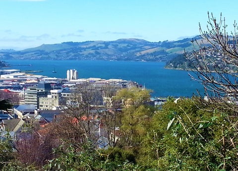 49 Sutherland Street, Dunedin Central, Dunedin