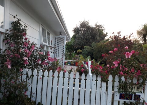50B Hatton Road, Orewa, Orewa