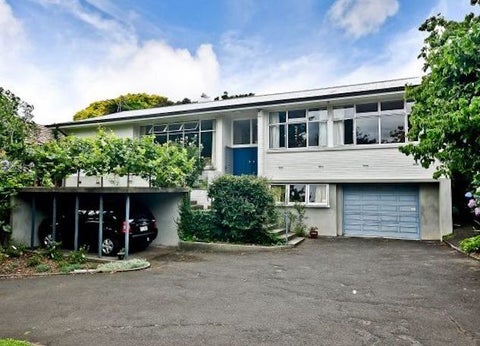 6 Woodstock Road, Fairfield, Hamilton