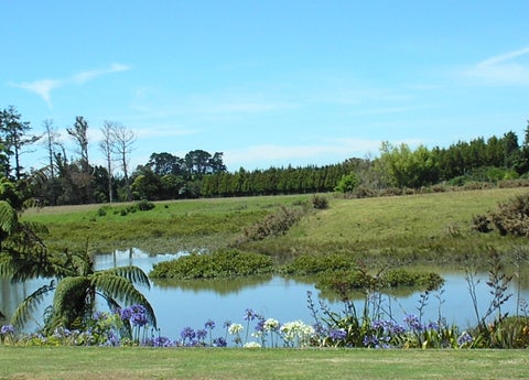 8 Shrewsbury Place, Katikati, Katikati