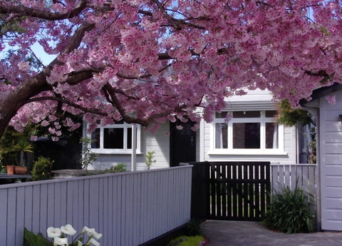 44 Church Street, Awapuni, Palmerston North