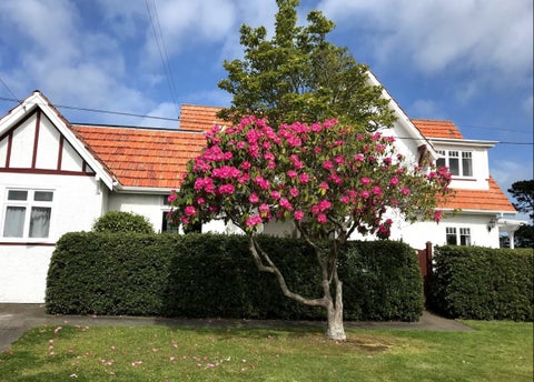 1 Tregarth Street, Saint Johns Hill, Whanganui