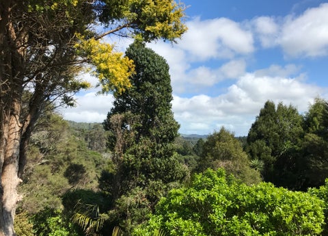 30 Puketaha Road, Swanson, Auckland