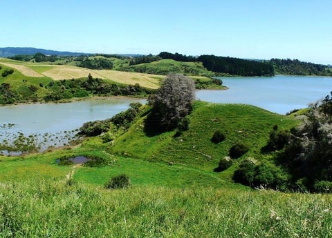 69 Burke Road, Wainui, Opotiki