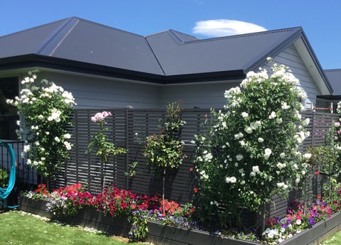 4 Prendiville Lane, Greytown