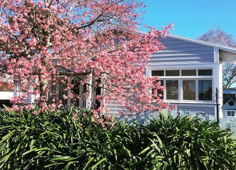 16 Buchanan Street, Mangapapa, Gisborne