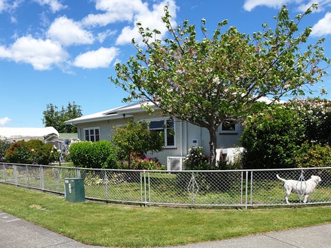 419 Montgomery Street, Raureka, Hastings