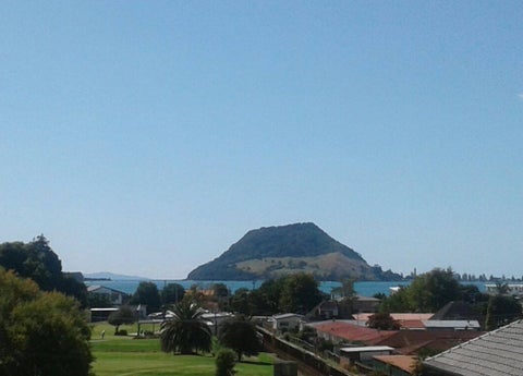 63 Bureta Road, Otumoetai, Tauranga