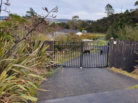 166 Wishart Road, Helensville, Helensville