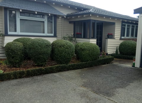 449 Featherston Street, Palmerston North, Palmerston North