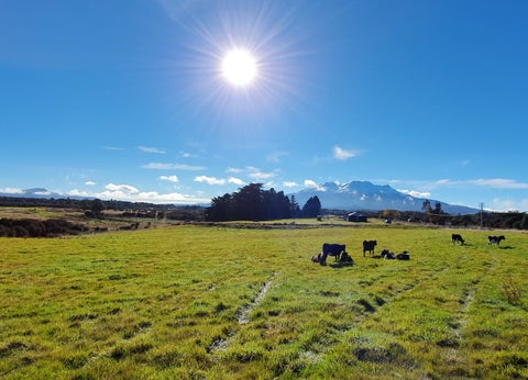 111 Matapuna Road, Horopito, Raetihi
