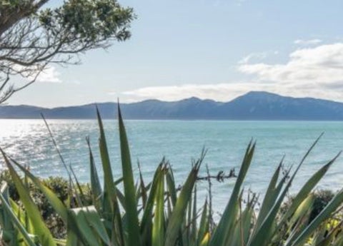 81 Rosetta Road, Raumati South, Paraparaumu