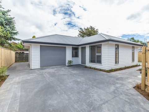 39A Kings Drive, Levin, Levin