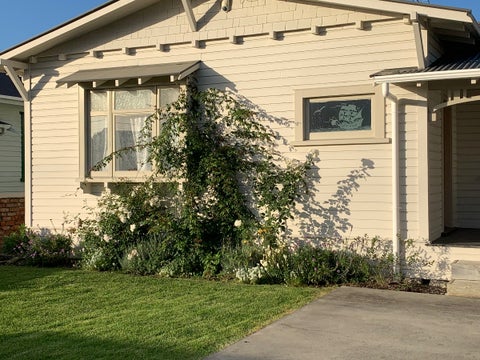 135 Harrison Street, Whanganui, Whanganui