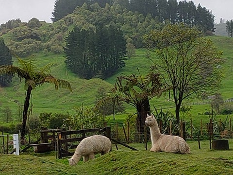 3 Honikiwi Road, Otorohanga, Otorohanga
