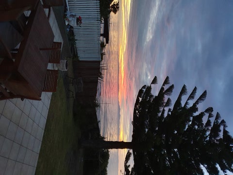 291 Rosetta Road, Raumati Beach, Paraparaumu
